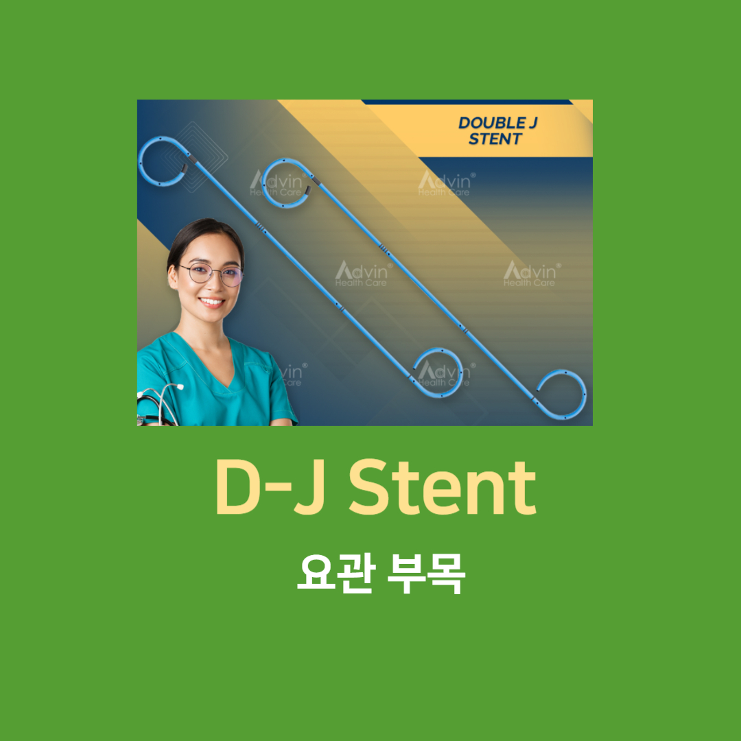 D-J STNET 사진
