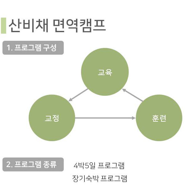 산비채 프로그램
