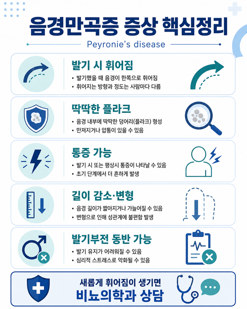음경만곡증 치료, Peyronie’s disease 수술 교정 전에 알아야 할 것 2 ChatGPT Image 2026년 8월 23일 오후 02 37 01 1