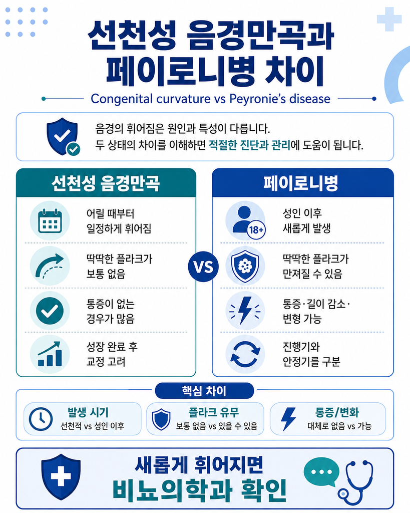음경만곡증 치료, Peyronie’s disease 수술 교정 전에 알아야 할 것 6 ChatGPT Image 2026년 8월 23일 오후 02 37 01 5