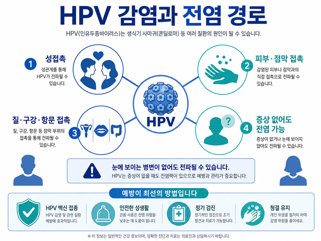 콘딜로마 남자·여자 증상, 원인부터 치료·전염까지 총정리 3 콘딜로마 남자·여자 증상, 원인부터 치료·전염까지 총정리