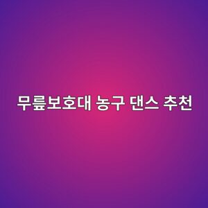 무릎보호대 농구 댄스 추천 2 무릎보호대 농구 댄스 추천